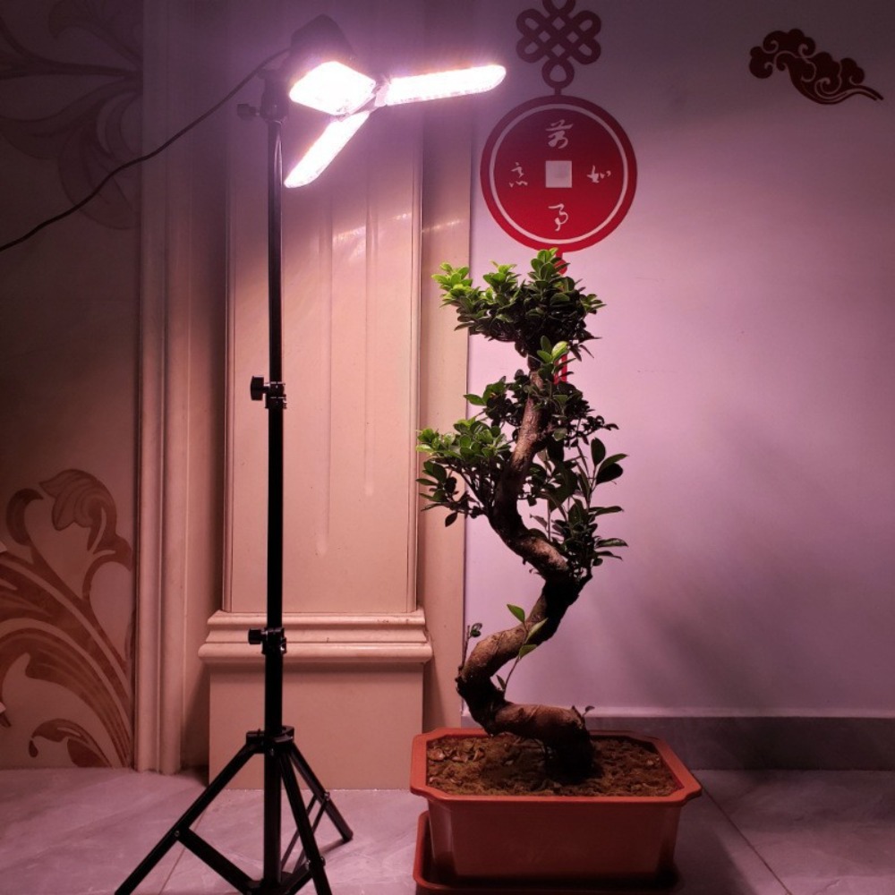 ขาตั้งหลอดไฟ 2 เมตร, ขั้วหลอดไ - Photography Lighting Mount บทวิจารณ์และราคา