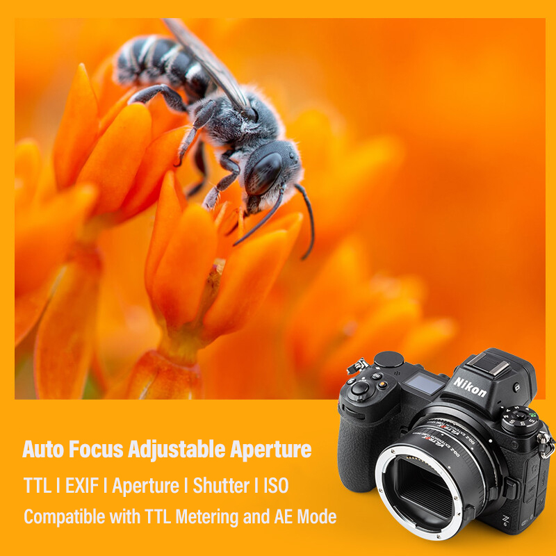 อะแดปเตอร์เลนส์มาโคร AF Macro  - Nikon Camera Z50 บทวิจารณ์และราคา